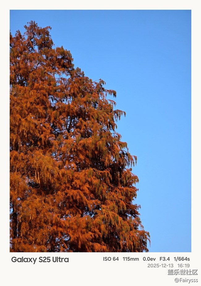 【Galaxy AI奇妙游】植物王國