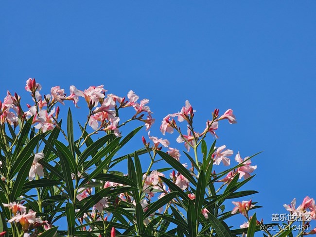 【地域拼圖】不一樣的天空