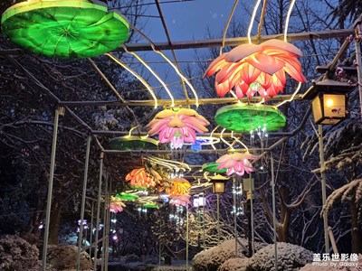 【順光逆光】+光影隨拍