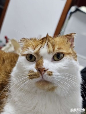 【順光逆光】+周末晚餐