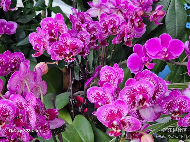 【三星視界】周末隨拍