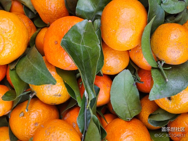 【捕捉那一抹金】水果新鮮