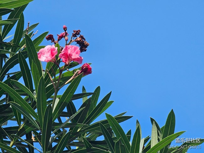 【地域拼圖】不一樣的天空