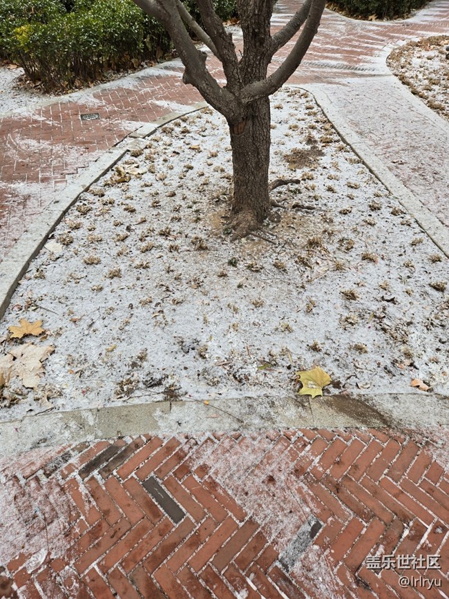 【銀裝視界】迎初雪