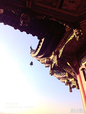 【順光逆光】一些看見光的時刻