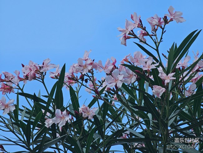 【地域拼圖】不一樣的天空