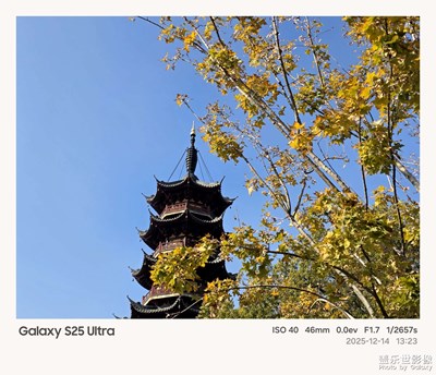 【順光逆光】+龍華塔