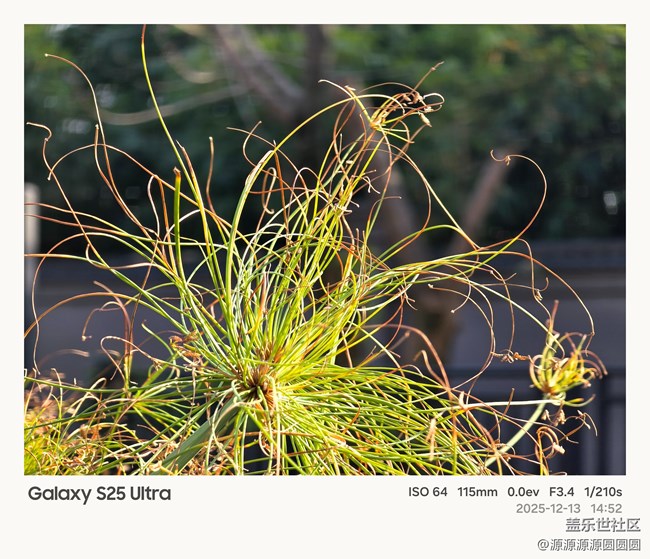 【Galaxy AI奇妙游】武漢星部落活動(dòng)總結(jié)帖