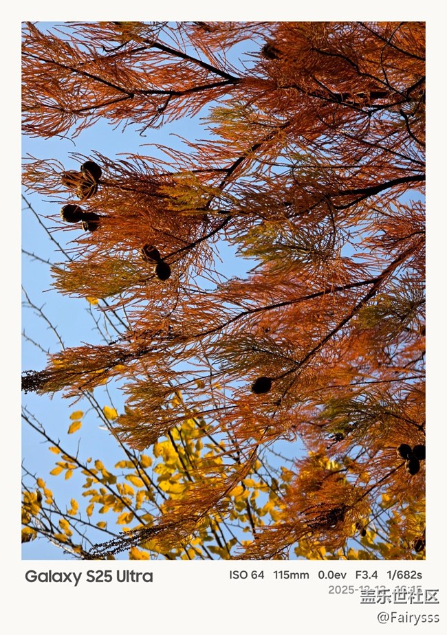 【Galaxy AI奇妙游】植物王國