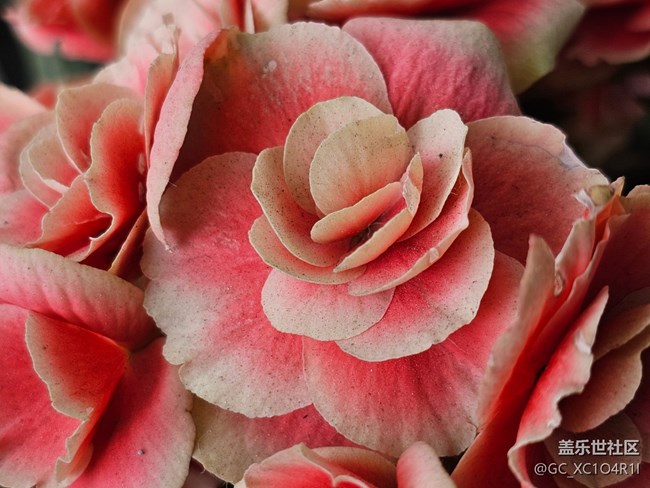 【我與Galaxy的日常】日?；ㄩ_