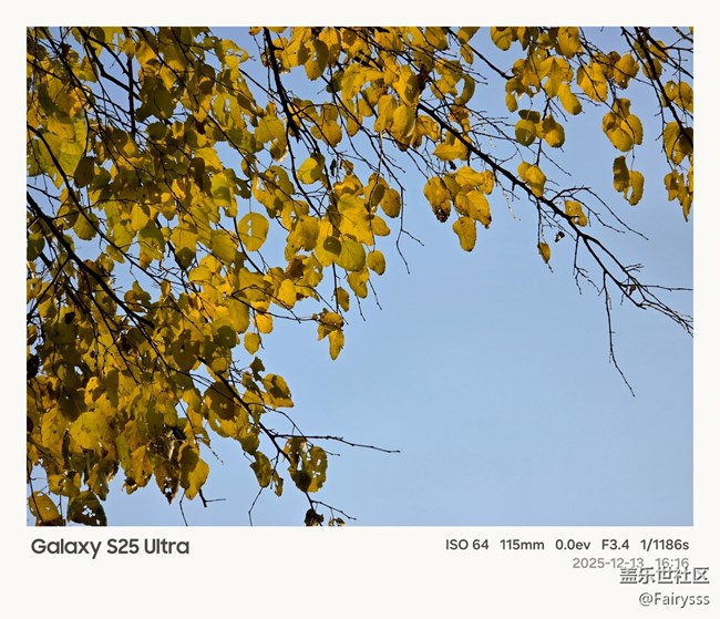 【Galaxy AI奇妙游】植物王國