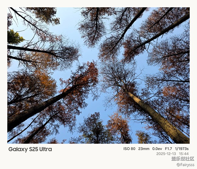 【Galaxy AI奇妙游】植物王國