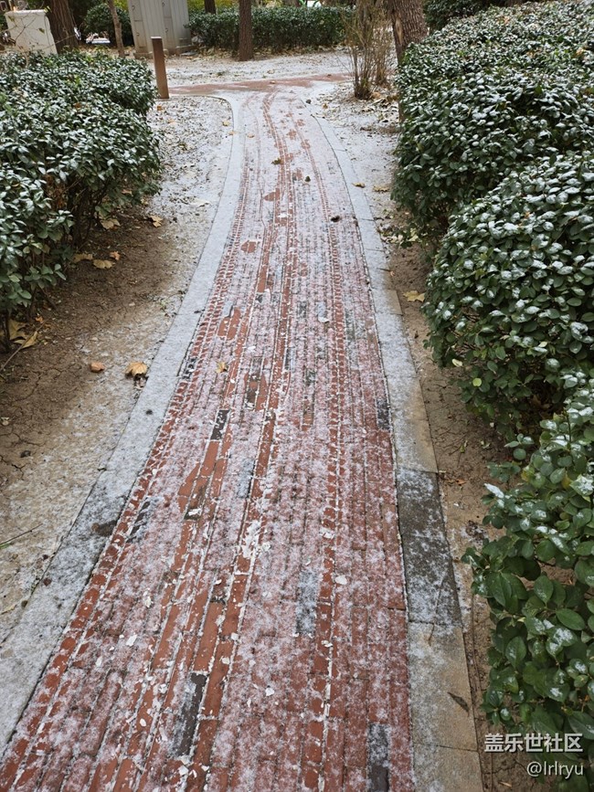 【銀裝視界】迎初雪