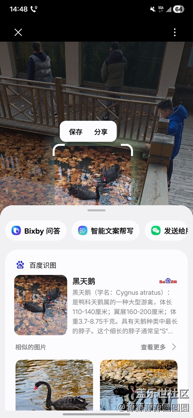 【Galaxy AI奇妙游】武漢星部落活動(dòng)總結(jié)帖