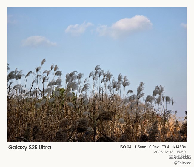 【Galaxy AI奇妙游】植物王國