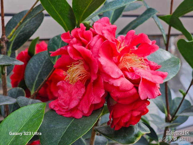 【三星視界】周末隨拍