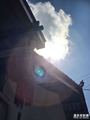 【順光逆光】+農(nóng)家樂隨拍