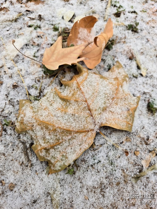 【銀裝視界】迎初雪