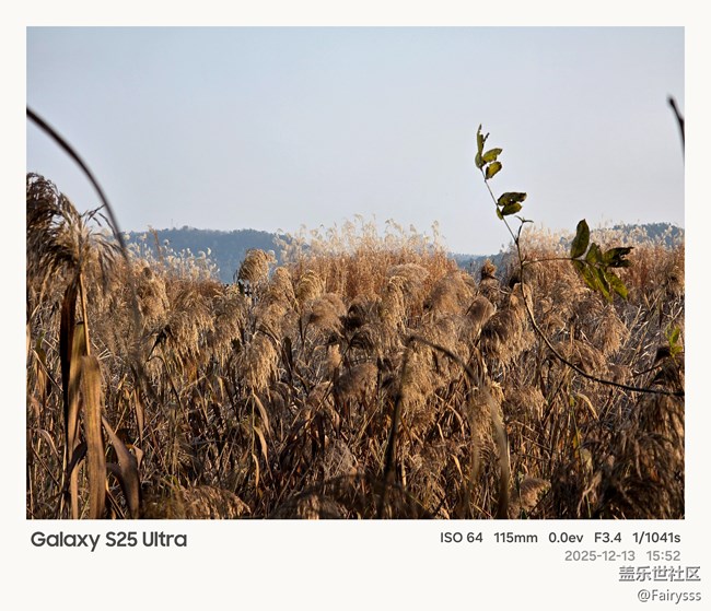 【Galaxy AI奇妙游】植物王國