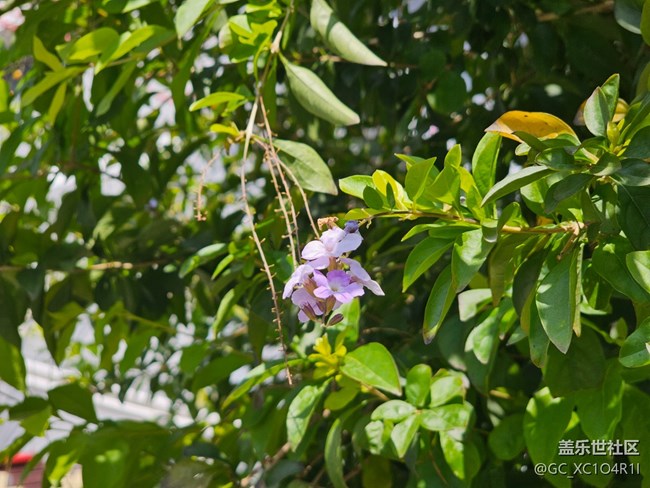 【地域拼圖】不一樣的天空