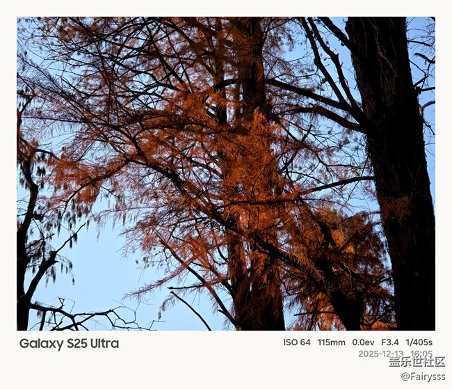 【Galaxy AI奇妙游】植物王國