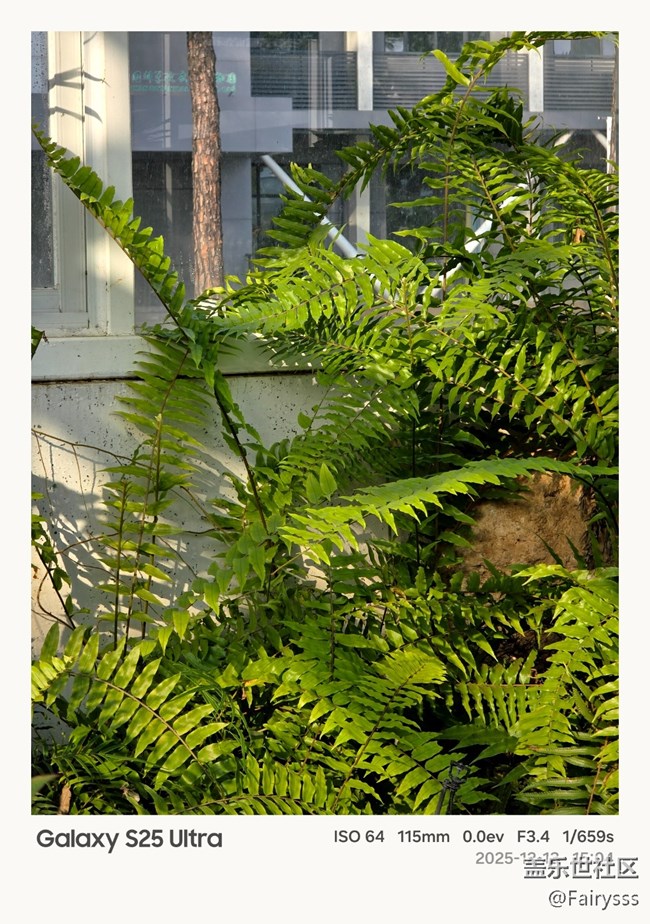 【Galaxy AI奇妙游】植物王國