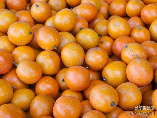 【捕捉那一抹金】水果新鮮