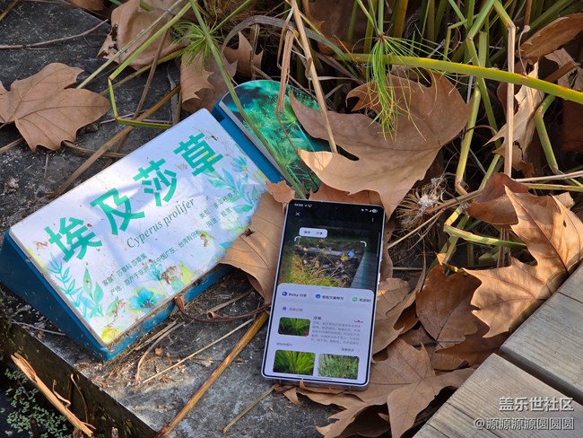 【Galaxy AI奇妙游】武漢星部落活動(dòng)總結(jié)帖