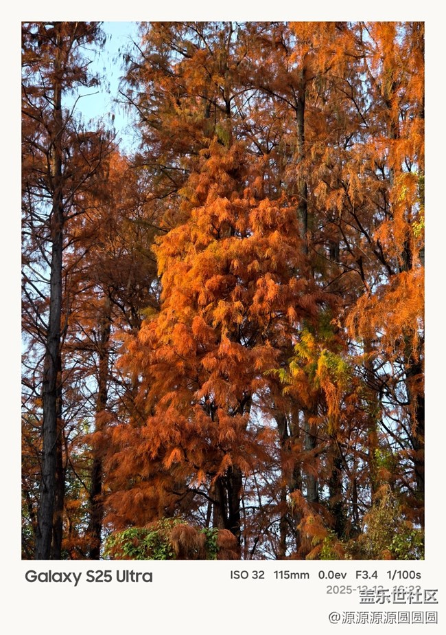 【Galaxy AI奇妙游】武漢星部落活動(dòng)總結(jié)帖