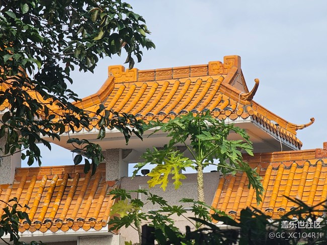 【捕捉那一抹金】多彩生活