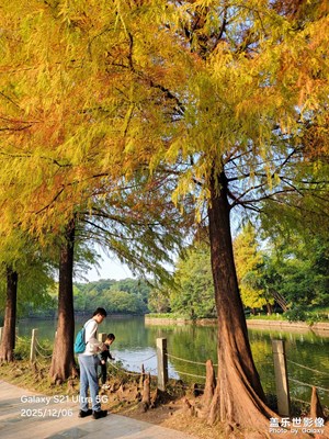【順光逆光】城市公園