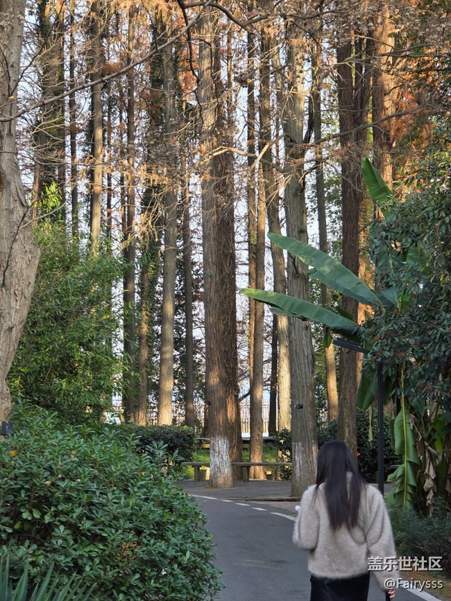 【Galaxy AI奇妙游】植物王國