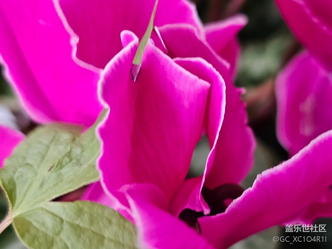 【我與Galaxy的日?！咳粘；ㄩ_