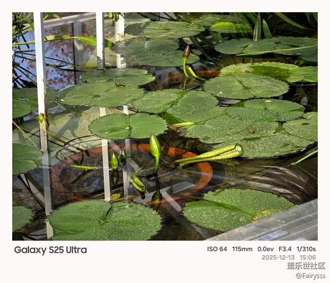 【Galaxy AI奇妙游】植物王國