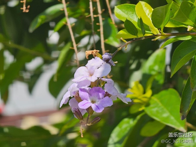 【地域拼圖】不一樣的天空