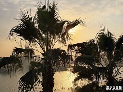 【順光逆光】銀杏與光的協(xié)奏