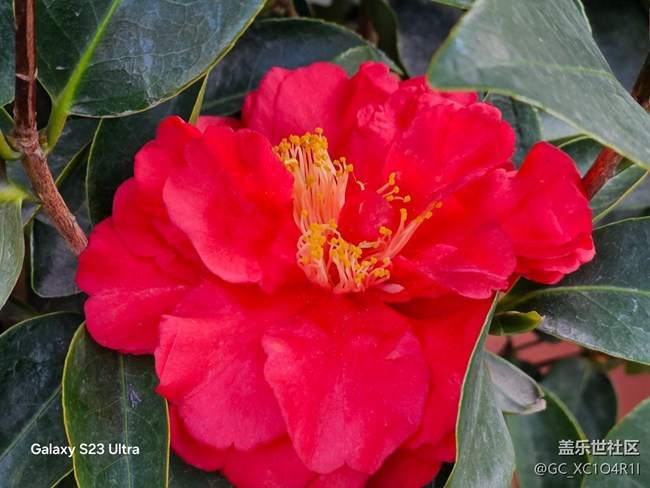 【三星視界】周末隨拍