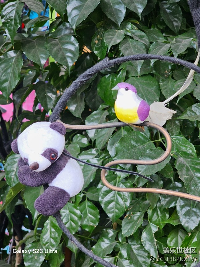 【三星視界】晴天