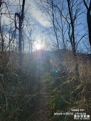 【順光逆光】+場景小拍