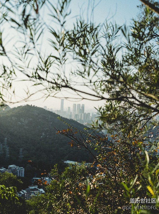 【秋末山景】告別秋天