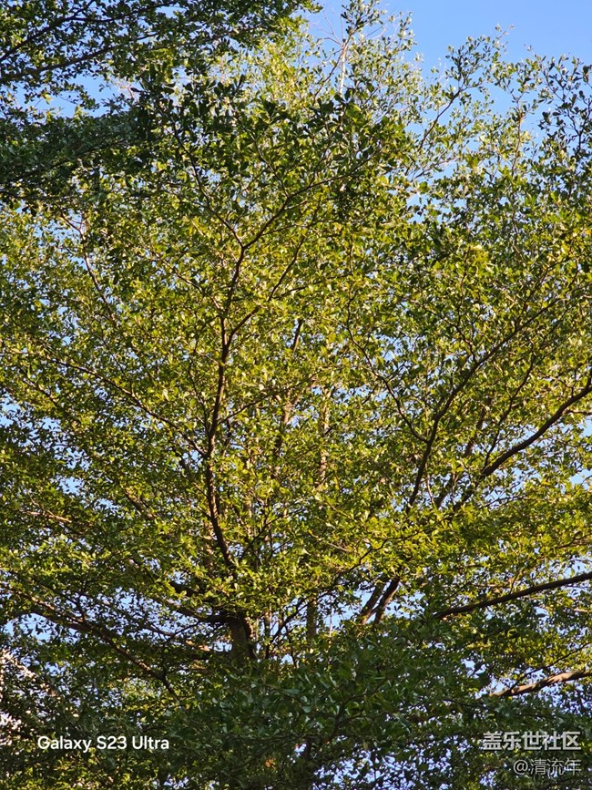 【三星視界】好天氣