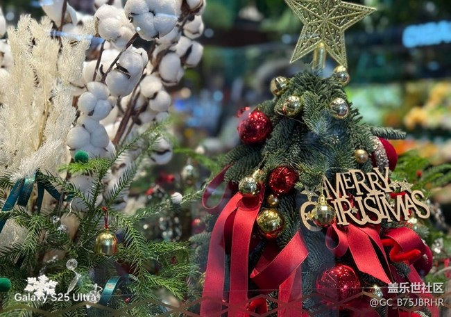 【三星視界】美麗的冬天