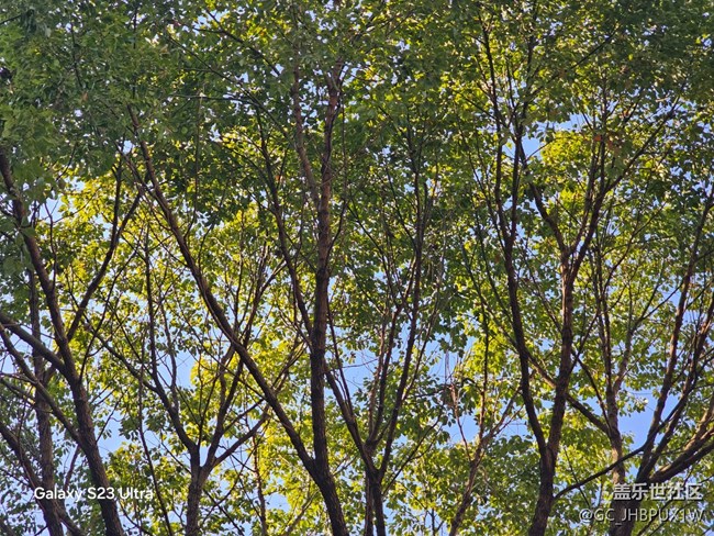 【三星視界】晴天