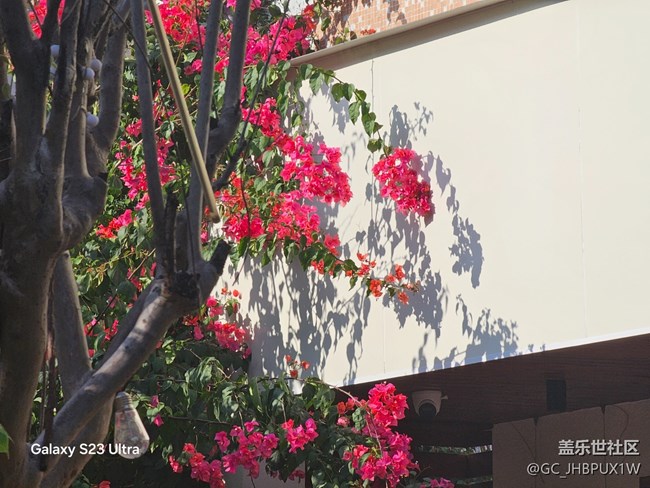 【三星視界】晴天