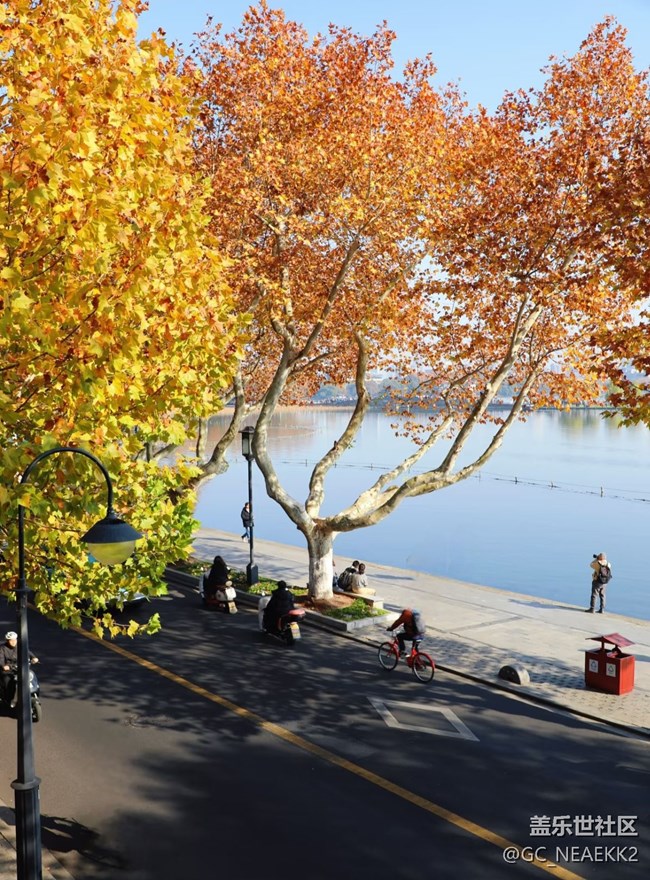 【街巷秋痕】秋意滿滿