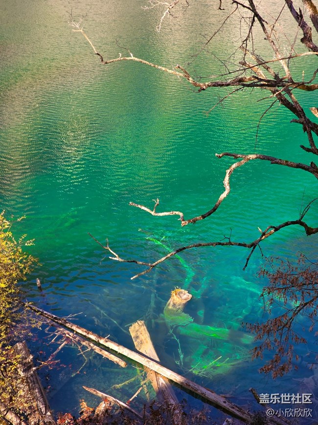 【秋末山景】秋天尾巴的美景