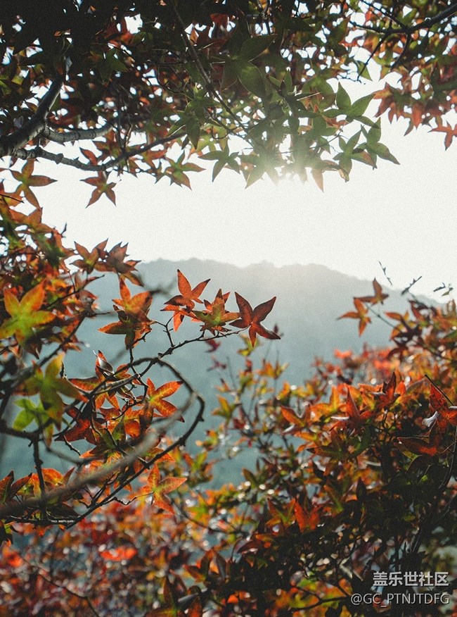 【秋末山景】告別秋天