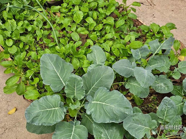 【捕捉那一抹金】生活痕跡