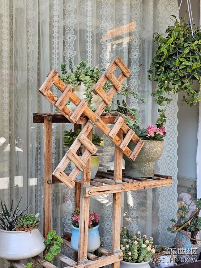 【地域拼圖】圣誕氛圍