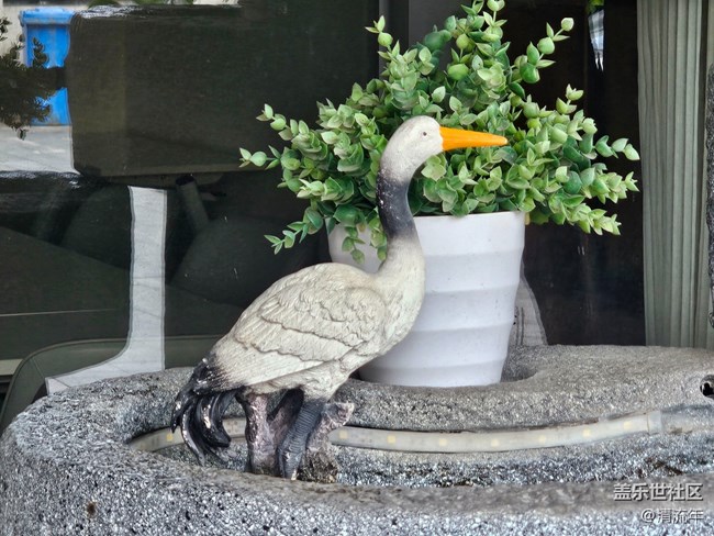 【捕捉那一抹金】生活痕跡